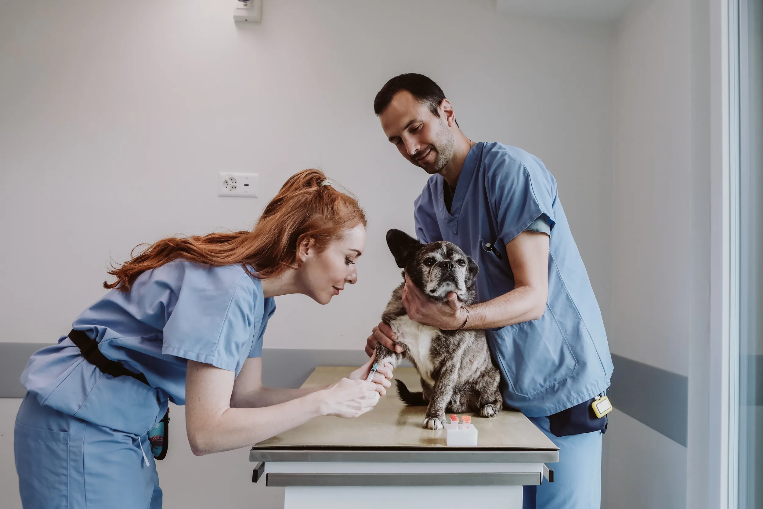 Dermatologie clinique vétérinaire, Lausanne