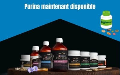 Compléments alimentaires pour chiens et chats